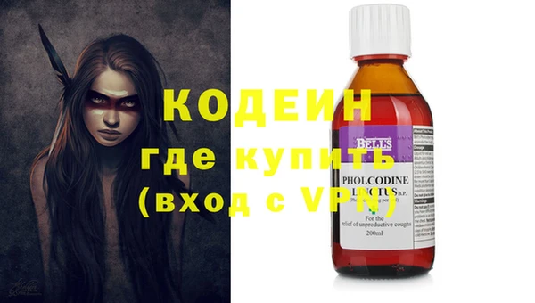 дурь Елизово