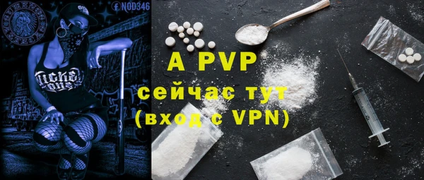 стафф Елабуга