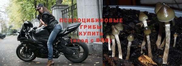 стафф Елабуга