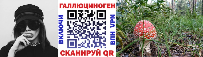 Галлюциногенные грибы Psilocybine cubensis  Купить закладки  Кыштым 